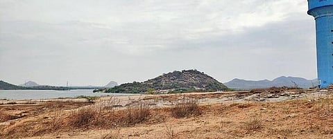 Harnessing the lushness of Devunoor forest