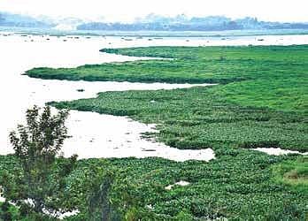 Engineers have no clue about lake drain dimensions; NGT panel aghast