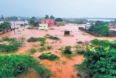 Bujabuja Nellore, on the outskirts of Nellore city, submerged. (Photo | Express)