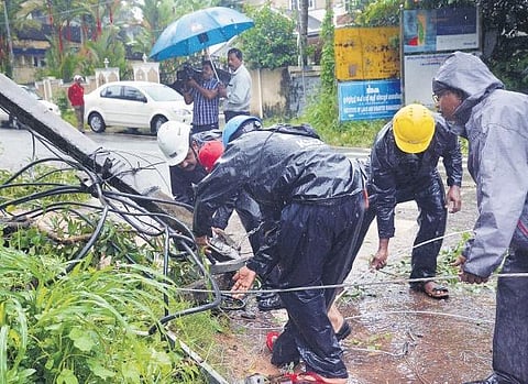 KSEB is losing points in the tree-fall challenge