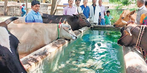 Representational image (Photo| EPS)