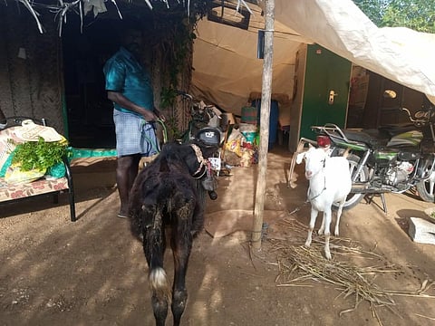 M Kumar (36) is the only Dalit in a neighbourhood full of families from a dominant caste. (Photo | Express)