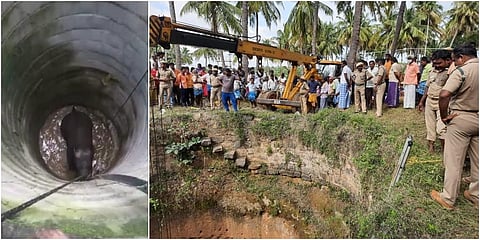 After 15 hours, female elephant rescued from open well in Dharmapuri