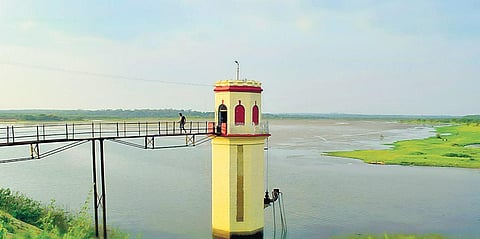 The area around Hesarghatta Lake is likely to be protected soon | Express