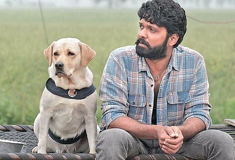 A still from 777 Charlie