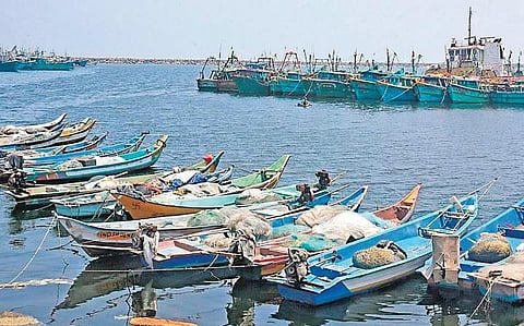 Experts say that once these new fishing harbours are operationalised, an additional one lakh tonnes of marine catch per annum is expected.