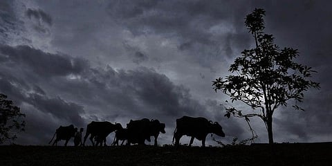 IMD predicts widespread rainfall in Rayalaseema, thunderstorms in AP coast