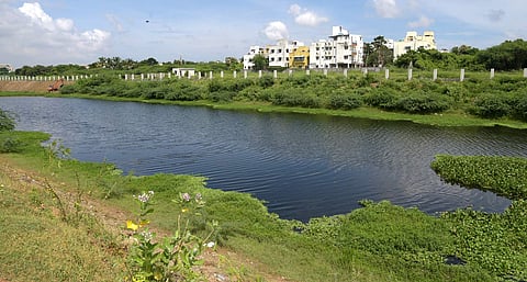The CMDA felt a buffer zone along the Adyar river is a sensitive issue involving several plot owners and prospective construction of several homes |(Pic - Martin Louis)