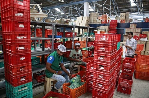 Employees sort out orders before sending them out at a BigBasket warehouse on the outskirts of Mumbai. (File photo| Reuters)