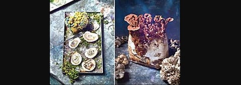 A climate and food photo series collaboration with photographer Heami Lee and stylists CC Buckley and Rebecca Bartoshesky