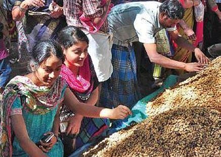 COVID-19 effect: For the first time in 480 years, Kadalekai Parishe to be restricted fair