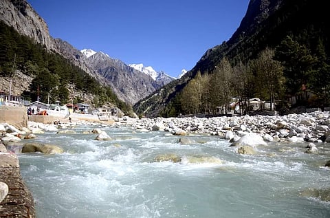 The decision has been taken to cut down pollution due to chemical fertilizers. (Photo | Vipul Maurya)