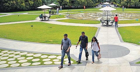 IT employees start availing of Covid mitigation aid, 66 apply in two days