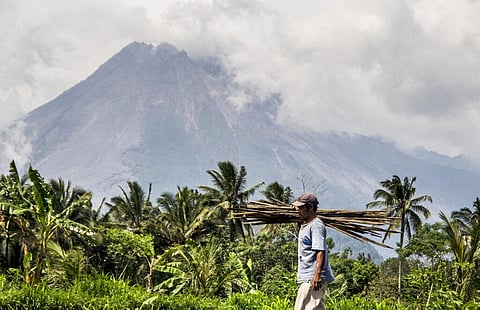 A farmer walks on his field as Mount Merapi is seen in the background in Sleman, Indonesia. (Photo | AP)