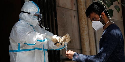 A heath worker cuts the strip after taking a nasal sample to test for COVID-19 in New Delhi. (Photo | AP)