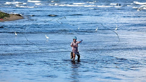 A fisherman casting his net at Elliot’s Beach | Martin Louis