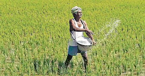 Helping store farm produce