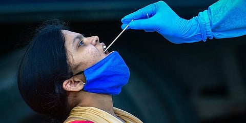 A health worker collects swab sample of a passenger for the COVID-19 test at the KSRTC bus stand in Bengaluru. (Photo | PTI)