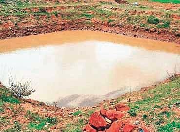 A beneficiary will be provided Rs 75,000 assistance for setting up farm pond.