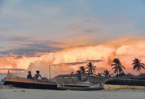 The photograph taken by Shravan Regret Iyer in Madagascar