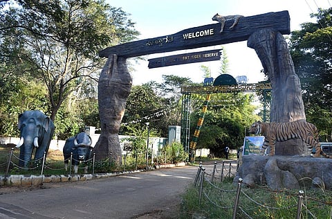 Visitors to BRT Tiger Reserve will have to show their tickets at every entry and exit point to prevent any untoward incidents. (Photo  | Udayshankar S, EPS)