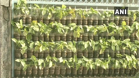 IRS officer uses waste plastic bottles to create vertical gardens in Ludhiana