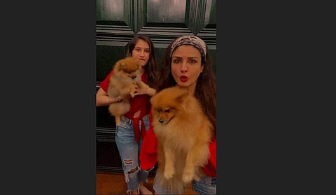 Raveena Tandon in a still from the recreation of the viral track by social media sensation Yashraj Mukhate. (Photo | Raveena Tandon, Instagram)