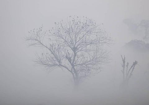 Image for representational purpose only (Photo | PTI)