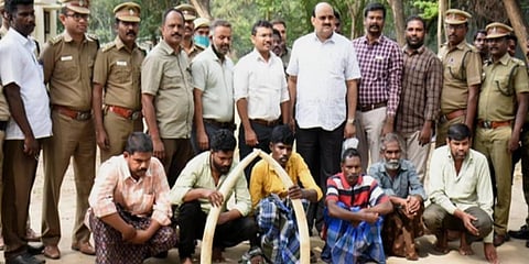 Elephant tusks seized, six held
