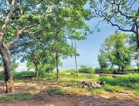 The scenic right dyke area of Hirakud Dam | Express