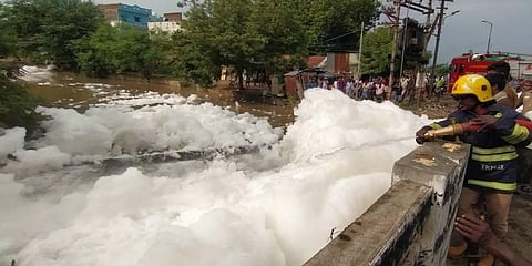 No trace of effluent in Vaigai water