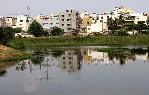 Puttenahalli Lake in Bengaluru. (File| EPS)