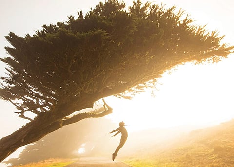 For representational purposes