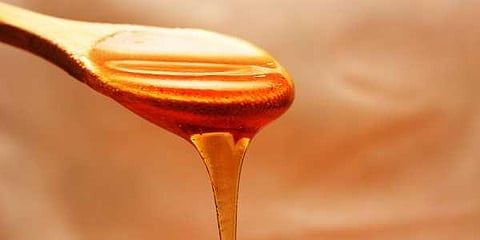Honey adulteration: Centre for Science and Environment rebuts Chinese company's claim 