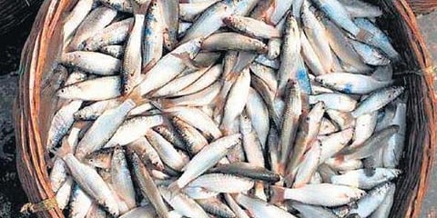 For representational purposes