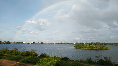 A Miyawaki forest with 9500 trees is set to come up on the lake bund. The first set of saplings will be planted on Sunday (Photo | Express)