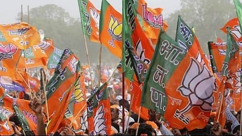 BJP flags used for representative purposes
