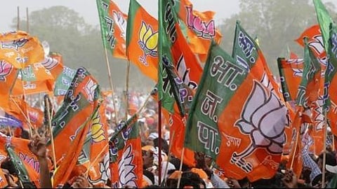 BJP flags used for representative purposes