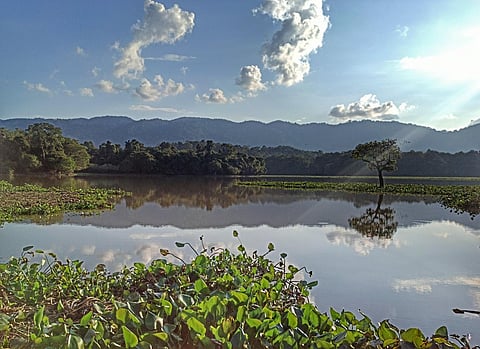 After the last monsoon season, the park authorities had plugged the exit points of wetlands at Bagori, Agoratoli and Kohora ranges to harvest rainwater. (Photo | EPS)