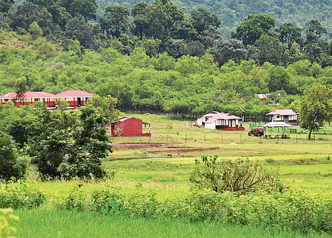 With around 4,200 visitors making night stay in these nature camps, the revenue collection of Similipal nature camps touched Rs 1.3 crore by the end of January.