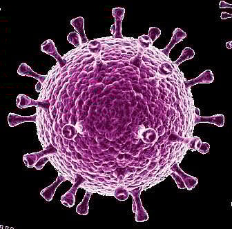 Fearing he has coronavirus, 50-year-old kills self in Andhra Pradesh