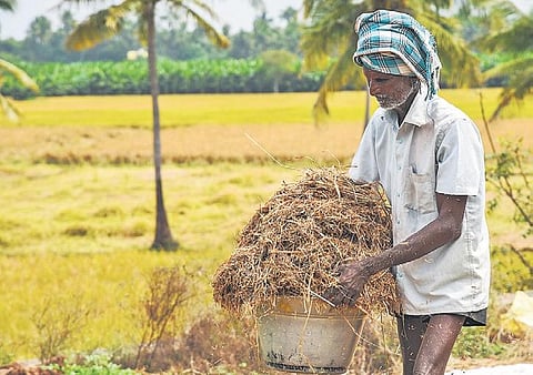 For representational purposes only (Photo | MK Ashok Kumar, EPS)