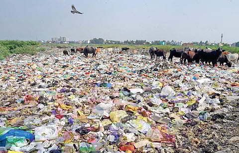 Constant garbage dumping in Porur and Iyyapanthangal areas along the Porur lake bund continues to pollute the water body | martin louis
