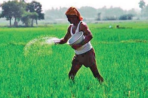 Image used for representation