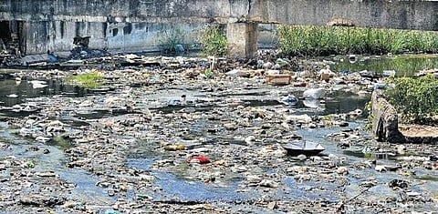 Captain Cotton Canal filled with garbage | D SAMPATH KUMAR