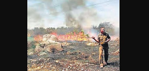 Fire raging near the Mushroom Rock on the University of Hyderabad campus,  in Hyderabad on Tuesday.