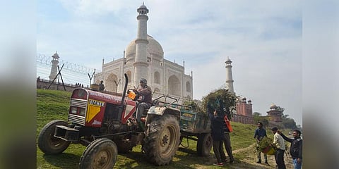 Taj Mahal in Agra being cleaned ahead of Donald Tump's visit. (Photo| PTI)