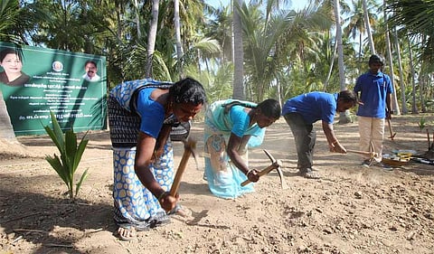 Workers removing topsoil at the Keezhadi archaeological site where the sixth phase of excavation was inaugurated by Chief Minister Edappadi K Palaniswami (KK Sundar | EPS)
