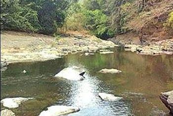 Mahadayi: Joshi asks Jal Shakti Minister to take follow-up action