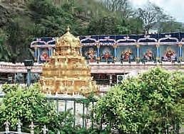 The trust board is responsible for monitoring the temple development works and conducting religious programmes.